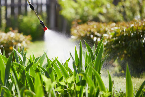 24/7 Emergency Mosquito Control experts in Fowler, IN